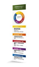 Load image into Gallery viewer, Chinese Simplified COACH Model® Products